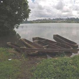 Searching for Fish in Cameroon